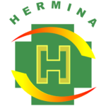 Logo Hermina Hospital