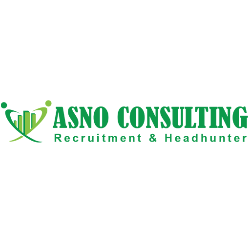 ASNO Consulting