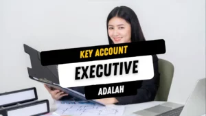 Key Account Executive Adalah